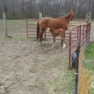 Meet your Posher, Geri